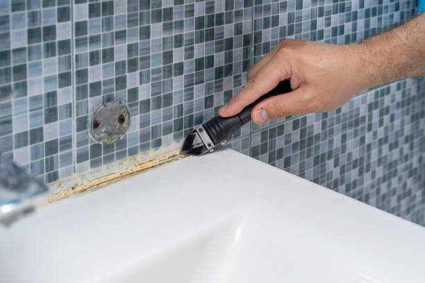 Best Mold Removal and Inspection  in Effort, PA