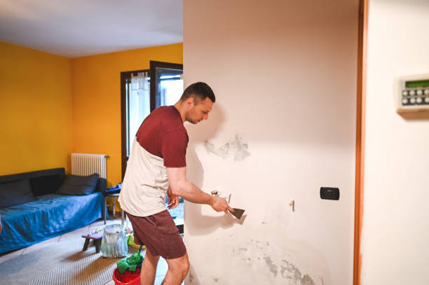 Best Fast Mold Removal  in Effort, PA